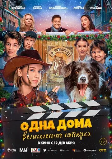 Одна дома: Великолепная пятерка /
