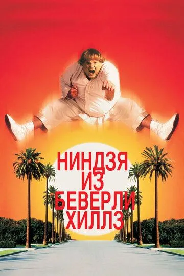 Ниндзя из Беверли-Хиллз / Beverly Hills Ninja